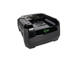 Зарядное устройство Greenworks G82C-foto2