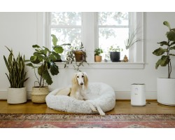 Воздухоочиститель AF 20 Karcher-foto7