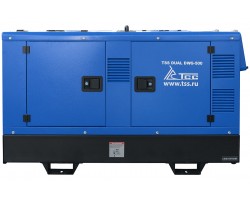 Двухпостовой дизельный сварочный генератор TSS DUAL DWG-500-foto3