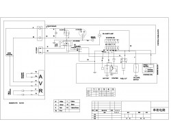 Инверторный дизельный сварочный генератор TSS DGW 10.0/300ED-R3-foto2