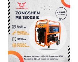 Бензиновый генератор Zongshen PB 18003 E