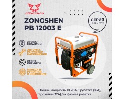 Бензиновый генератор Zongshen PB 12003 E