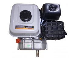 Двигатель бензиновый для картинга с горизонтальным валом Zongshen GB 225-4-foto5