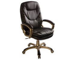 Кресло руководителя Бюрократ Ch-868AXSN темно-коричневый эко.кожа крестовина пластик пластик золото