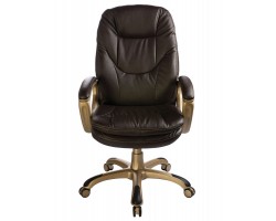 Кресло руководителя Бюрократ Ch-868AXSN темно-коричневый эко.кожа крестовина пластик пластик золото-foto2