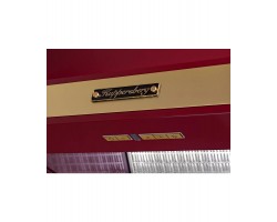 Вытяжка купольная T 669 BOR Bronze KUPPERSBERG-foto3