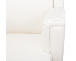 Кресло руководителя Бюрократ _DUKE белый кожа крестовина металл/дерево-foto5