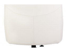 Кресло руководителя Бюрократ _DUKE белый кожа крестовина металл/дерево-foto12