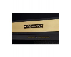 Вытяжка купольная T 669 ANT Bronze KUPPERSBERG-foto3