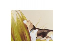 NFM 200 CG серия Охота KUPPERSBERG-foto5