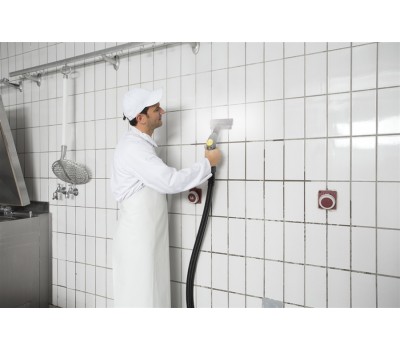 ПароочистителиSGV 8/5