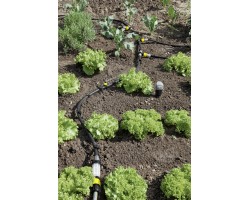 Редуктор С Фильтром-foto3