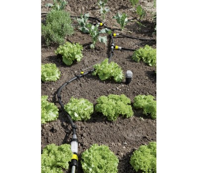 Редуктор С Фильтром